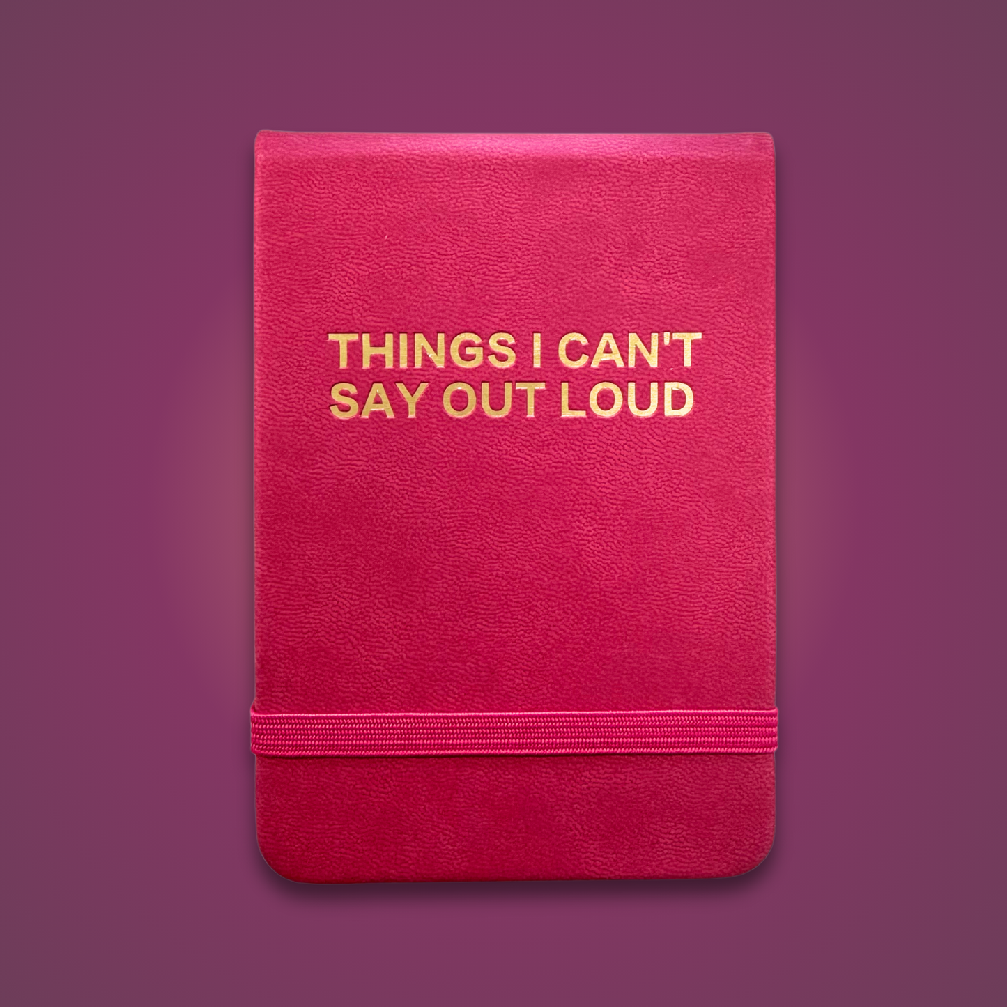 Things I Can’t Say Out Loud Pocket Journal